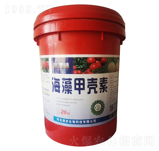 ����ך���-��ͨ