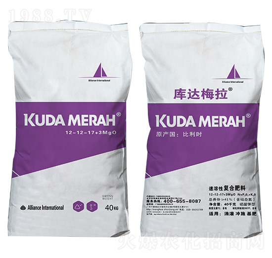 �M(j��n)�������ԏ�(f��)�Ϸ���12-12-17+3MgO ��(k��)�_(d��)÷��