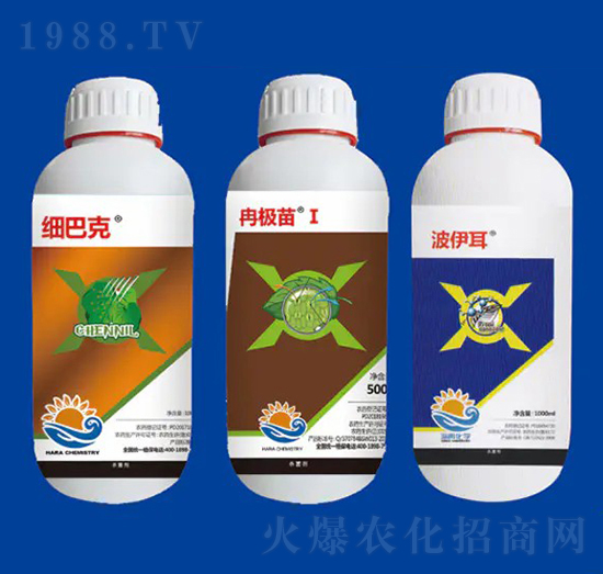 ���ýM�Ϣ� ��Ƚ���W(xu��)