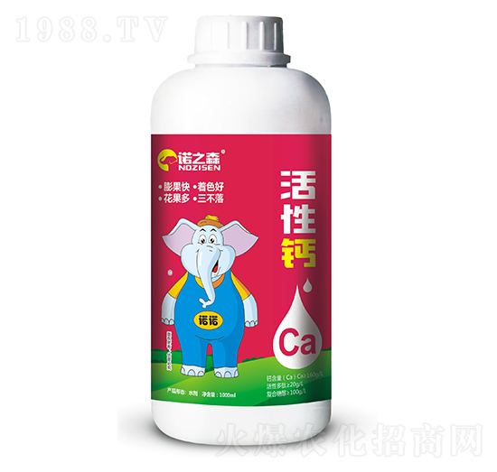 �����} �Z֮ɭ