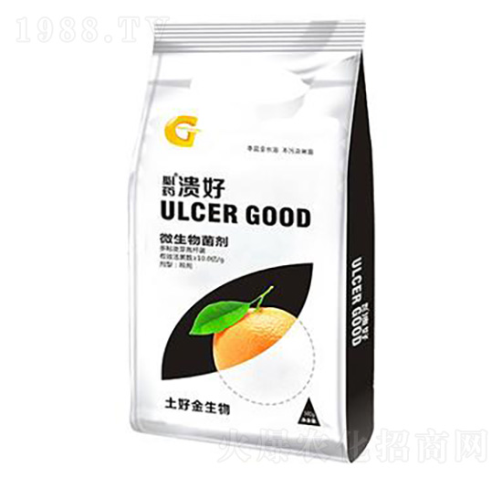 500g΢������� ���� ���ý�