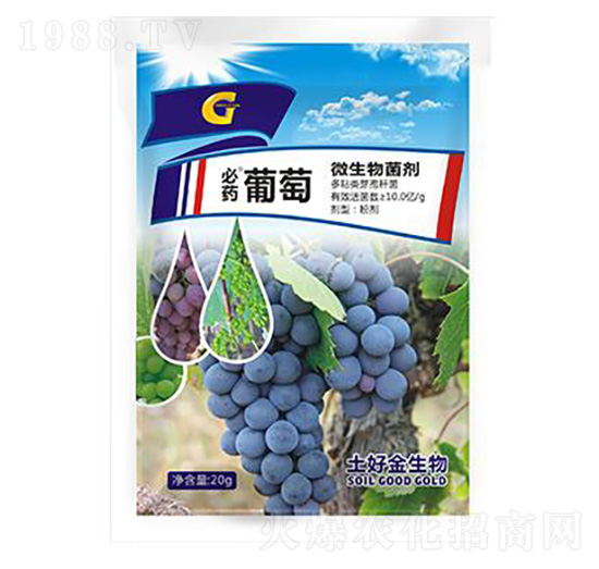 20g���� ���ý�