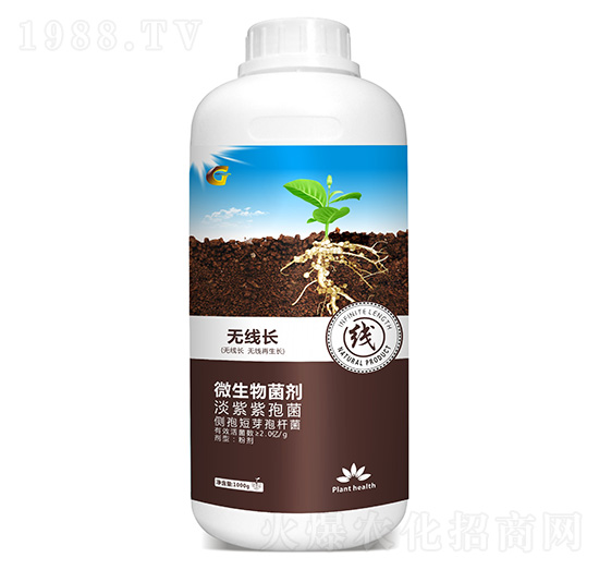 �o���L ���ý�