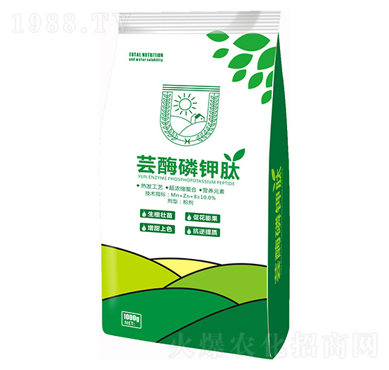 1kg�|ø����� ���ý�