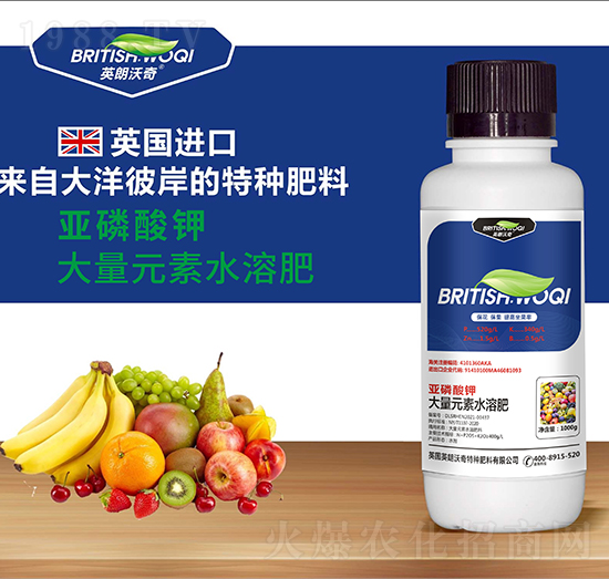 ������� Ӣ������