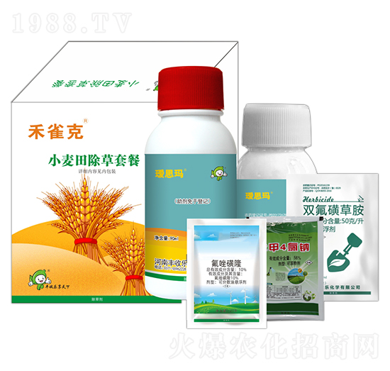 С��������ײ�-��ȸ��-�S�՘�