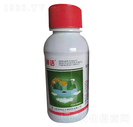 40%������ ��Ԓ ��̩����