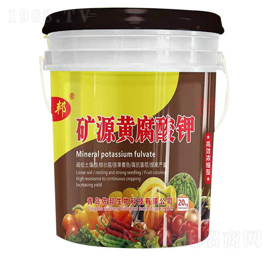 �VԴ�S����� ����