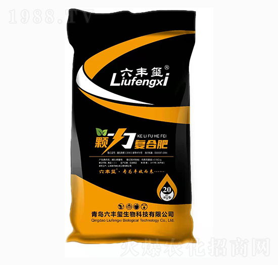 �w����(f��)�Ϸ�-���S�t