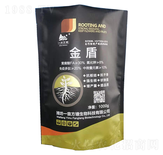 ��� һ������