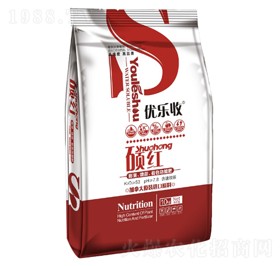 �T�t ��(y��u)���� ��󷼌�