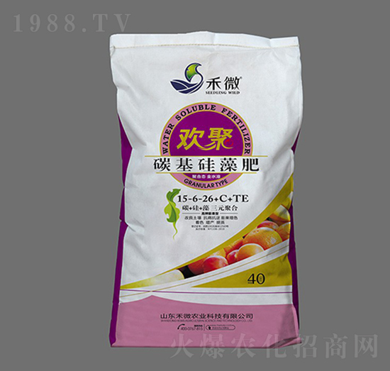 ̼�������15-6-26+C+TE-�g��-��΢