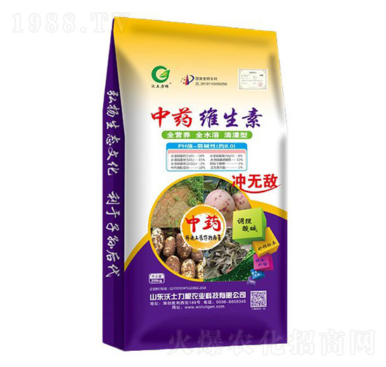 ��ˎ�S����-��������-�W�����F