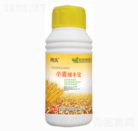 С�����S��-�����r��