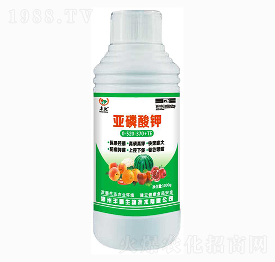 �������0-520-370+TE-�S��-�S������