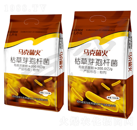 �ݲ�ѿ�ߗU��-�R�˾���-�R�˰��