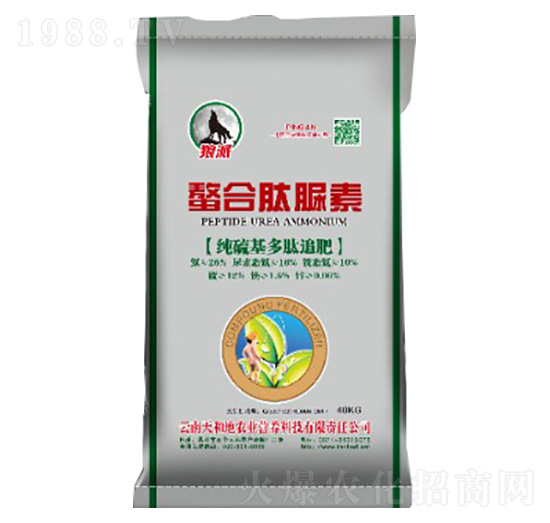 ���������׷��-����������-����