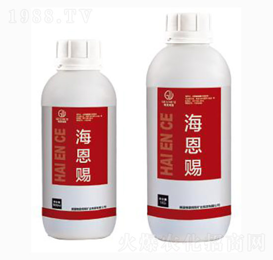 �����n-�|���r(n��ng)�I(y��)