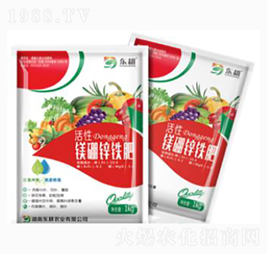 �V���\�F��-�|���r�I(y��)