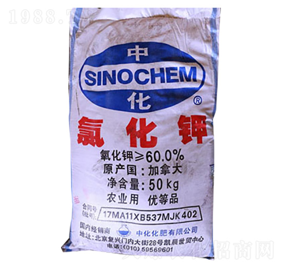 �Ȼ��-��(li��n)��