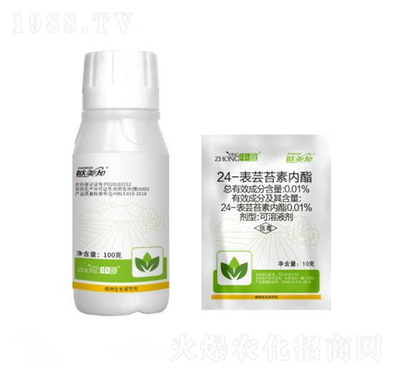 24-���|̦�؃�(n��i)�� �W���� ��ӯ