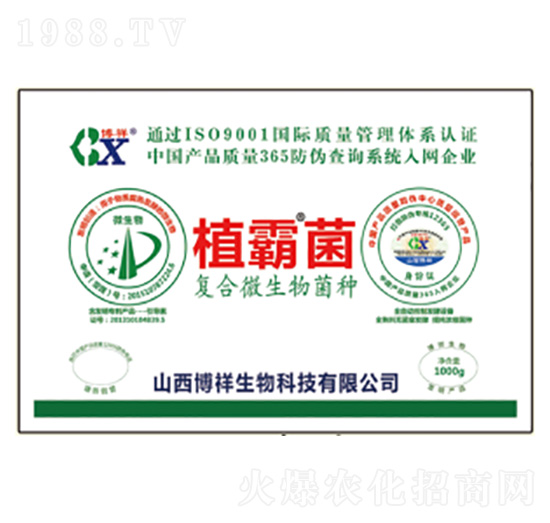 �ͺ�΢������N-ֲ�Ծ�-��������