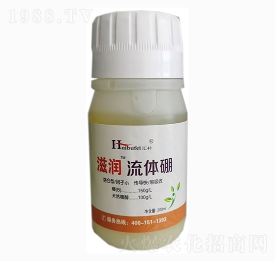 ���w��-�̝�-����