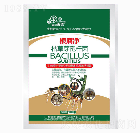 1000g�ݲ�ѿ�ߗU��-������-�_��(y��u)�r�I(y��)