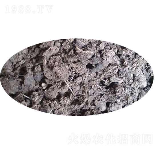 ��Ȼ�����u�S-������ʘI(y��)