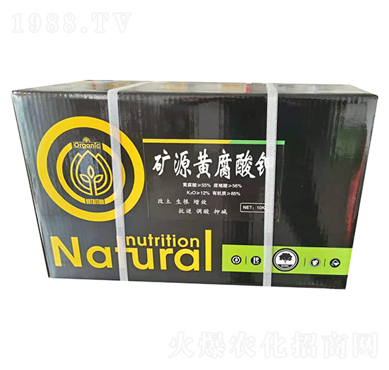 �VԴ�S����� �u(y��)�_(d��)�ʘI(y��)