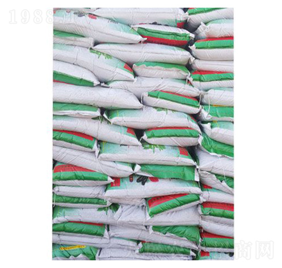 ������|(zh��)���b �ֵ��r(n��ng)�I(y��)