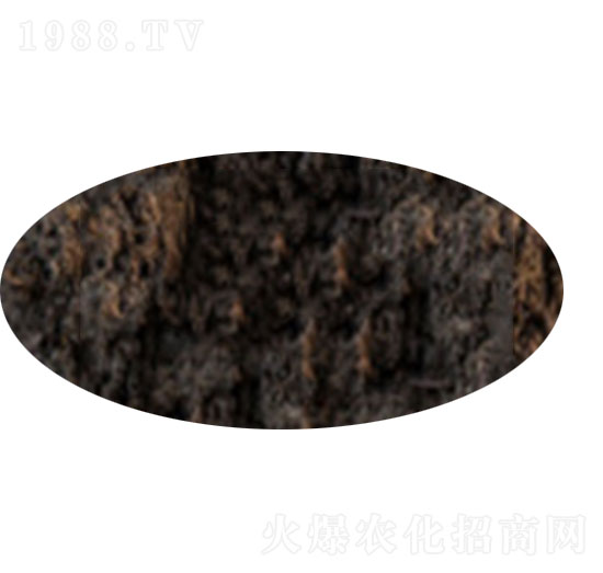 ���䌣���ЙC��-һ������