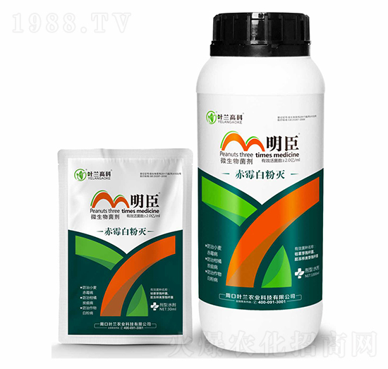 ΢�������-��ù�׷ۜ�-����-�~�m�߿�