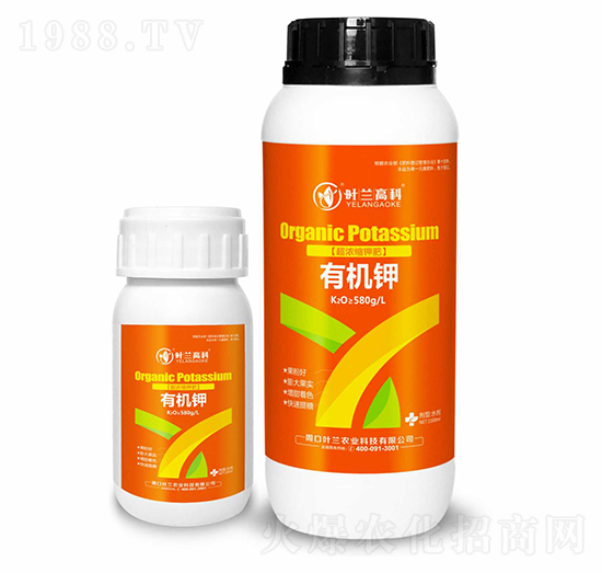 �ЙC(j��)�-�~�m�߿�