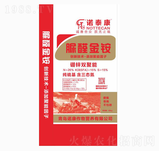 ��ȩ���@-�Z̩��-���u�Z��