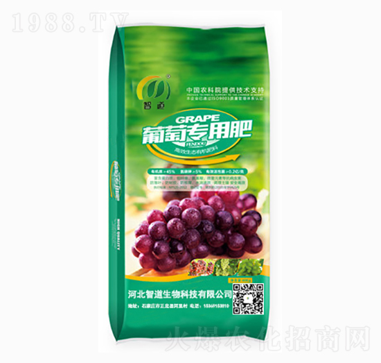 ���ь��÷�-�ǵ�