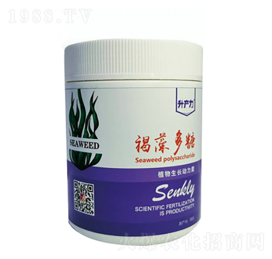 �������-���a(ch��n)��