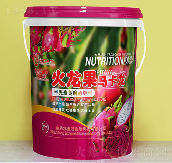 �ך����S�������-�������R����-ľ�~(y��)ʯ����