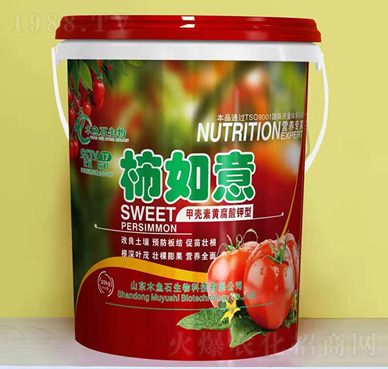 �ך����S�������-������-ľ�~ʯ����