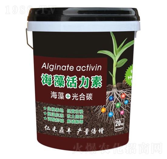 ���������-�ʺ̶��S