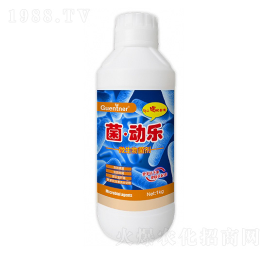 ΢�������-�����Ә�-���v�r�I(y��)