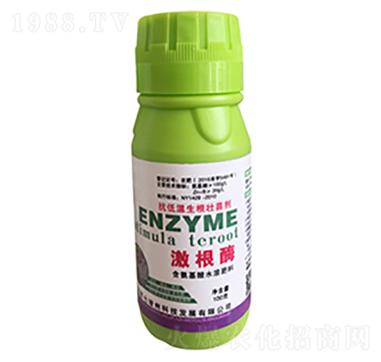 ����ø-�߿���