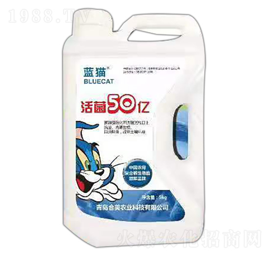 ���50�|-�{؈-�����r�I(y��)