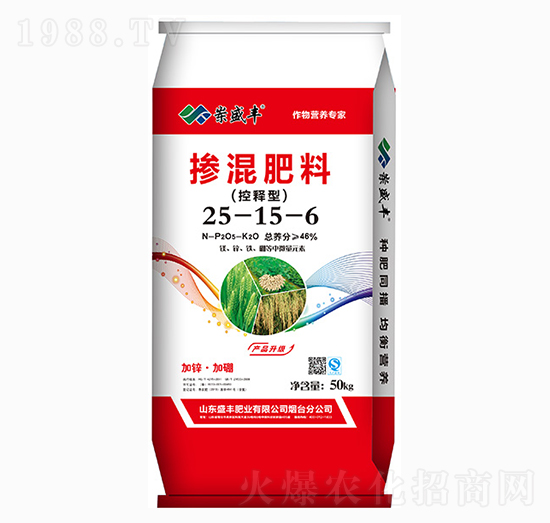 ����͓������25-15-6-ʢ�S�ʘI(y��)