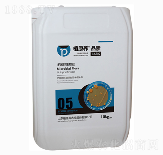 ���Ⱥ�����-ֲԭ�B(y��ng)�r�I(y��)