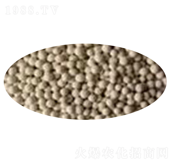 �����V�w���ʣ�����V�ʣ�-�GҰ��