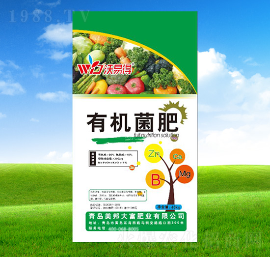 �ЙC����-���׵�-������r