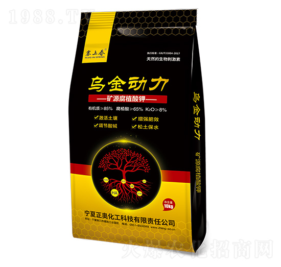 �������� ���W����