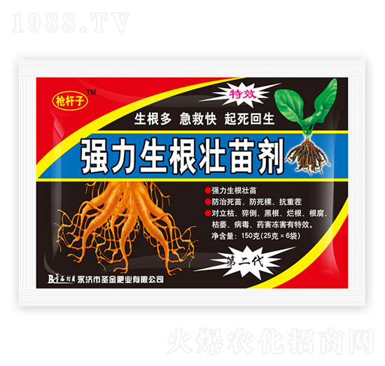 ��(qi��ng)���������焩-ʥ��ʘI(y��)