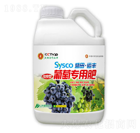 ���������ь��÷�-ʢ������